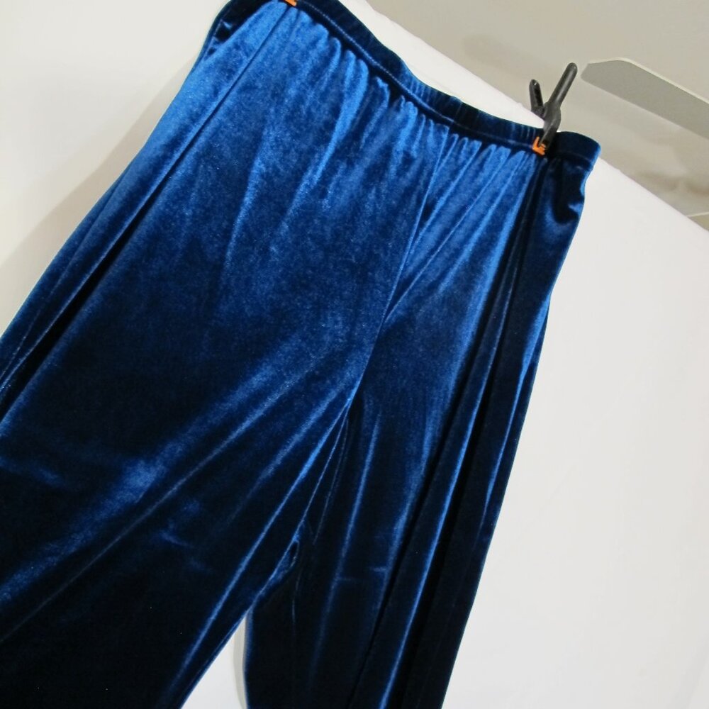 Coldwater Creek sapphire blue velour pants  PXL